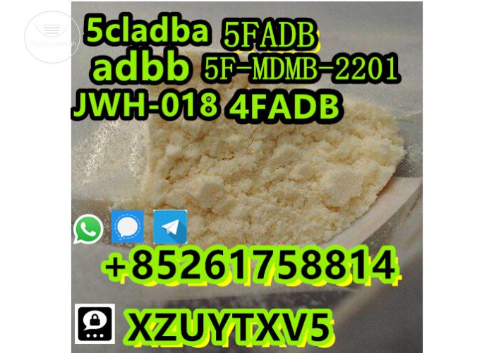 Listing Fallback Image