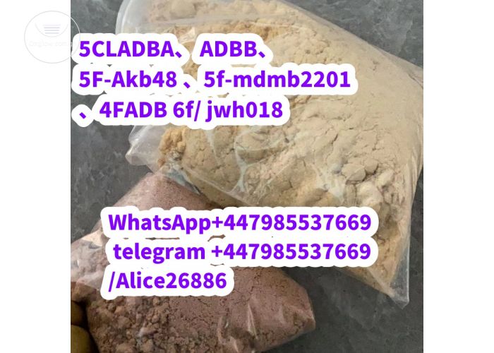 Listing Fallback Image
