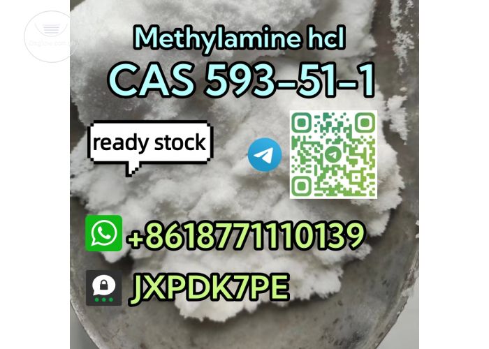 Listing Fallback Image
