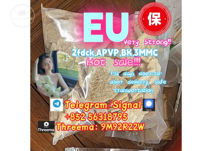 Listing Fallback Image