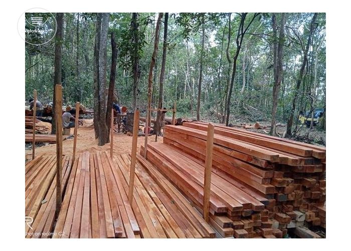 Quality Woods For Sale 