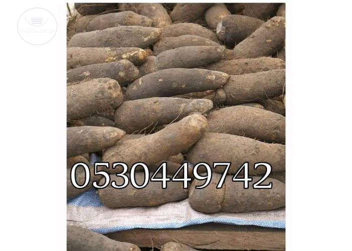 Listing Fallback Image