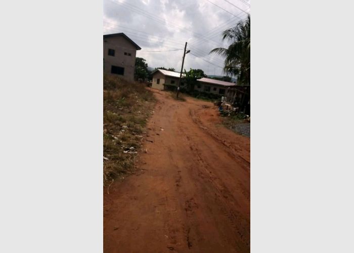 Listing Fallback Image