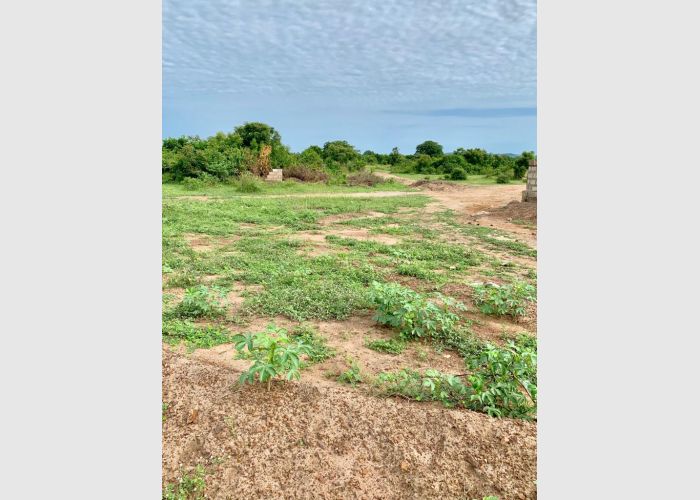 Afienya Residential Litigation free lands (DOCUMENTS FREE)