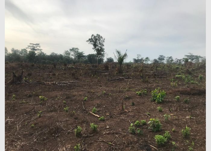 6 Acres of Land the sale