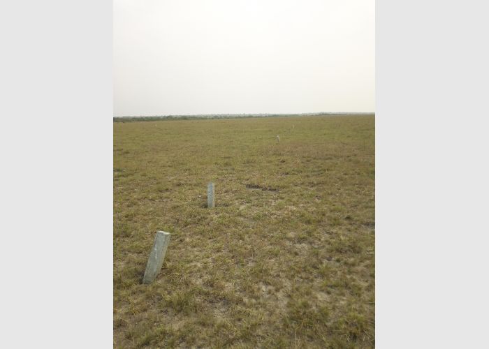 PROMOTIONAL ESTATE LANDS