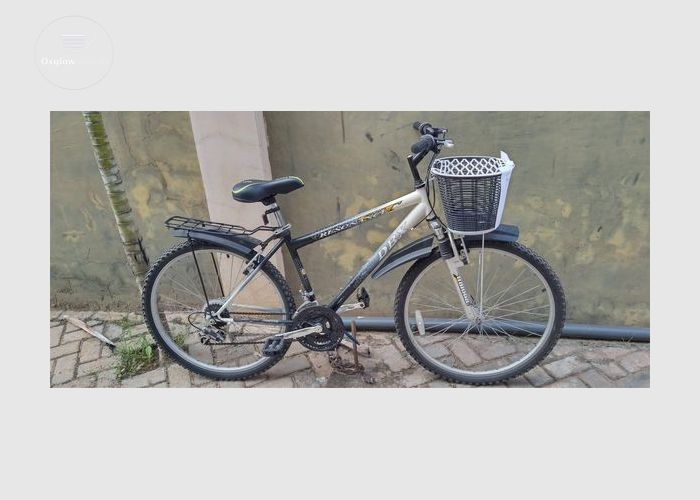 DBX BICYCLE