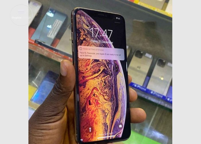 iPhone XS Max 256GB