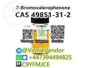 2-Bromo-1-phenyl-pentan-1-one/2-Bromovalerophenone CAS 49851-31-2