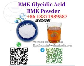 99% Purity BMK Glycidic Acid (Sodium Sal