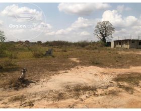 AFIENYA -ODUMSE LAND GUARD FREE ESTATE L