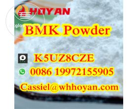 Bmk powder oil 99% Cas 5449-12-7 / Cas 2