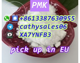 Holland hot sales PMK powder 28578-16-7 