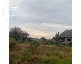 Land title half plot for sale. 40/100 la
