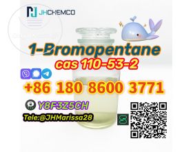 Perfect Sale CAS 110-53-2 1-Bromopentane