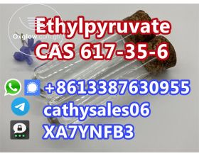 Supply CAS 617-35-6 Ethyl Pyruvate with 
