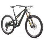 2025 Specialized Stumpjumper 15 Pro Moun