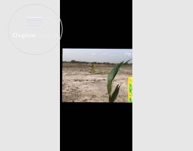 Registered land for sale